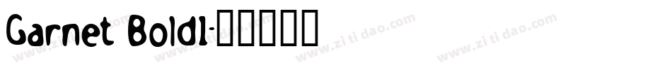 Garnet Bold1字体转换